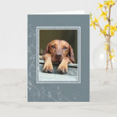 Hungarian Vizsla Blank Card 002 Kaart (Gele Bloem)