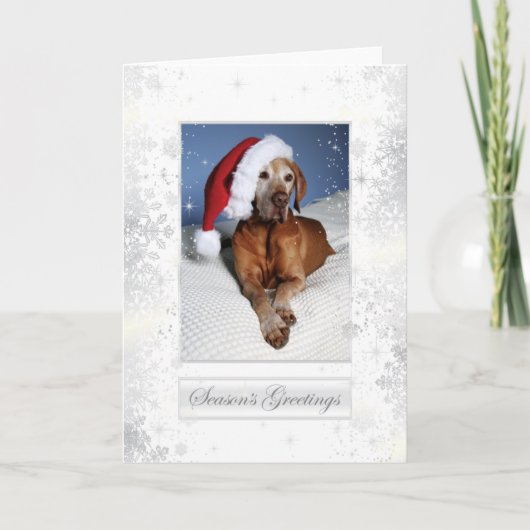 Hungarian Vizsla Christmas Card 007 Feestdagen Kaart (Voorkant)