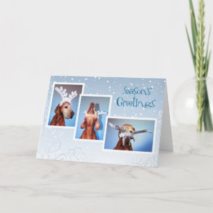 Hungarian Vizsla Christmas Card 011 Feestdagen Kaart