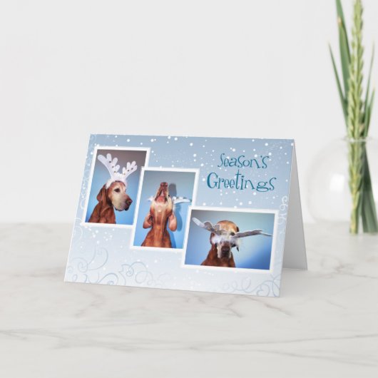 Hungarian Vizsla Christmas Card 011 Feestdagen Kaart (Voorkant)
