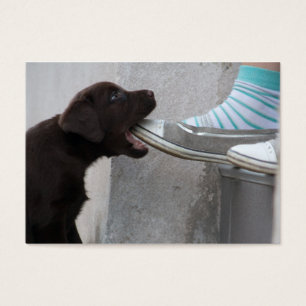 Hungry Brown Labrador Puppy Visitekaartje