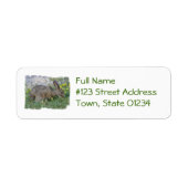 Hungry Bunny Mailing Labels (Voorkant)