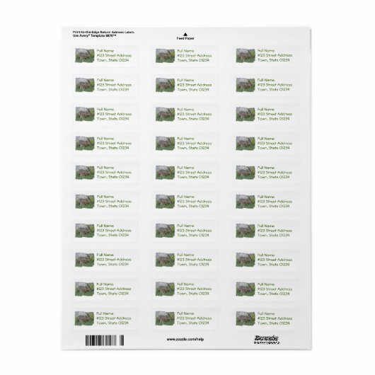 Hungry Bunny Mailing Labels (Full Sheet)