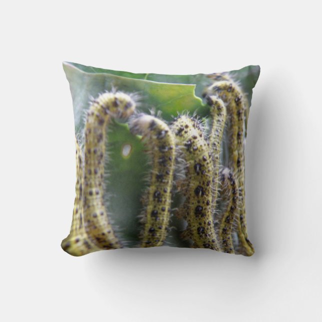Hungry Cabbage White Caterpilars Pillow Kussen (Voorkant)