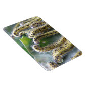 Hungry Cabbage White Caterpilars Premium Magnet Magneet (Rechterzijde)