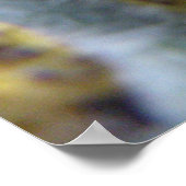 Hungry Cabbage White Caterpilars Print (Hoek)