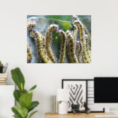Hungry Cabbage White Caterpilars Print (Thuiskantoor)