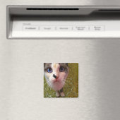 Hungry Cat Fridge Magnet (Insitu (Vaatwasser))