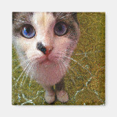 Hungry Cat Fridge Magnet (Voorkant)