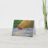 Hungry Chicken Notecard Kaart (Voorkant)