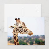HUNGRY GIRAFFE BRIEFKAART (Voorkant / Achterkant)
