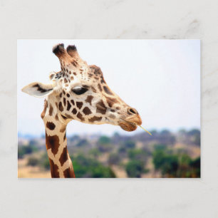 HUNGRY GIRAFFE BRIEFKAART