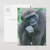 Hungry Gorilla Briefkaart (Voorkant / Achterkant)