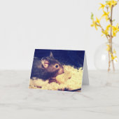 Hungry Hamster Kaart (Gele Bloem)
