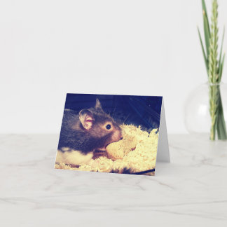 Hungry Hamster Kaart
