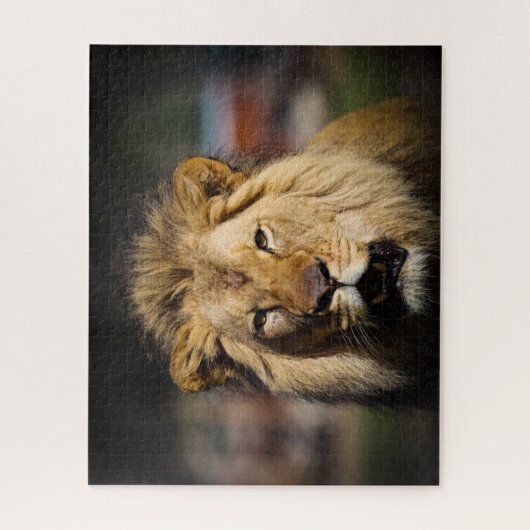 Hungry Lion Puzzle Legpuzzel (Verticaal)