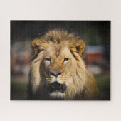 Hungry Lion Puzzle Legpuzzel (Horizontaal)