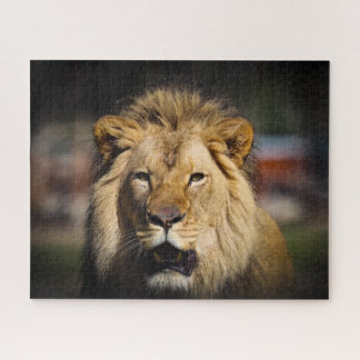 Hungry Lion Puzzle Legpuzzel
