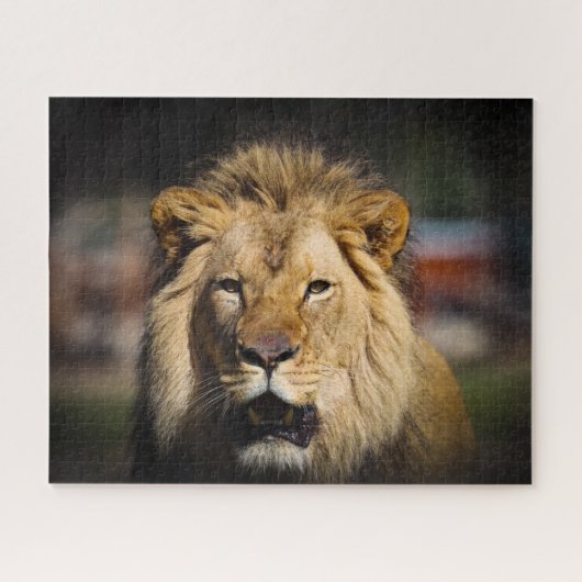 Hungry Lion Puzzle Legpuzzel (Horizontaal)