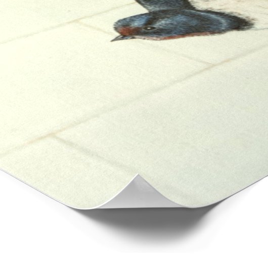 Hungry Mouths 2011 Poster (Hoek)