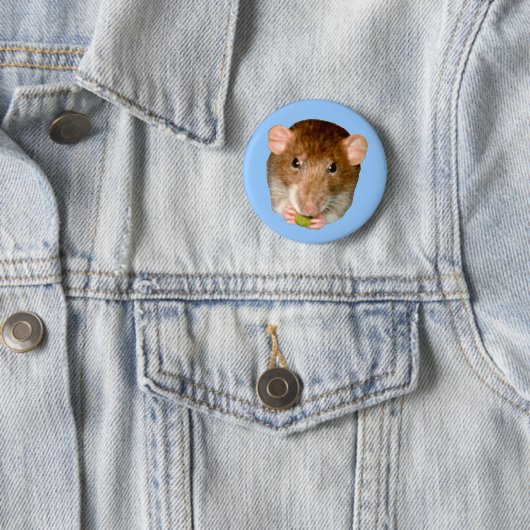 Hungry Rat Button (In situ)