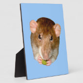 Hungry Rat Plaque Fotoplaat (Zijkant)
