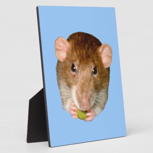 Hungry Rat Plaque Fotoplaat (Zijkant)