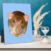 Hungry Rat Plaque Fotoplaat (Zijkant)