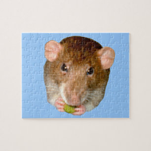 Hungry Rat Puzzle Legpuzzel
