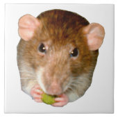 Hungry Rat Tile Tegeltje (Voorkant)