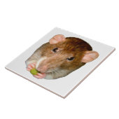 Hungry Rat Tile Tegeltje (Zijkant)