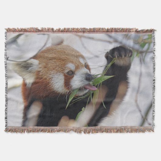 Hungry Red Panda Deken (Voorkant)