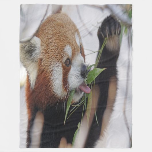 Hungry Red Panda Fleece Deken (Voorkant)