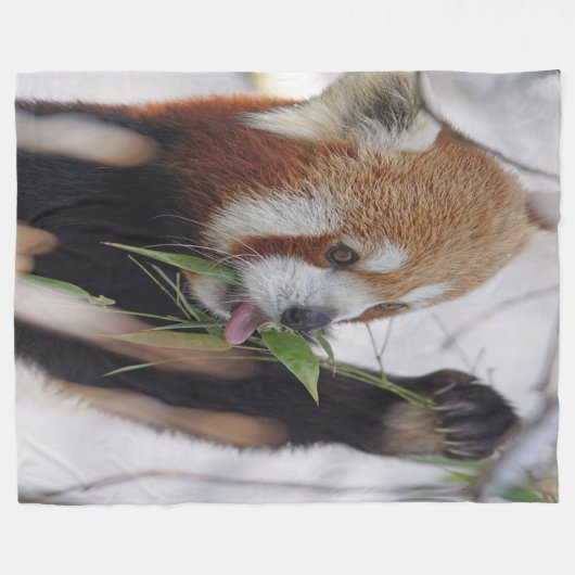 Hungry Red Panda Fleece Deken (Voorkant (Horizontaal))