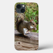 Hungry Squirrel iPhone hoesjes (Achterkant)