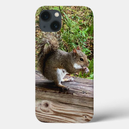 Hungry Squirrel iPhone hoesjes