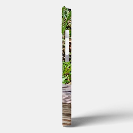 Hungry Squirrel iPhone hoesjes (Achterkant / Links)