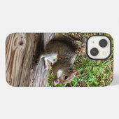 Hungry Squirrel iPhone hoesjes Hoesje (Achterkant horizontaal)