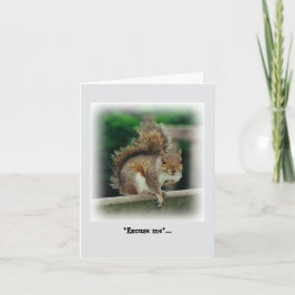 Hungry Squirrel op zoek naar een gratis handout Kaart