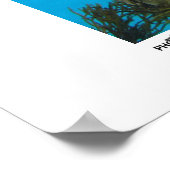 Hungry Turtle - Foto van de winnaar van de jaarsca Poster (Hoek)