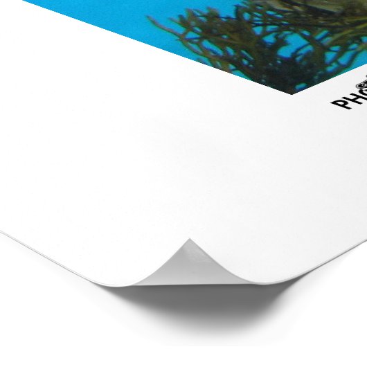 Hungry Turtle - Foto van de winnaar van de jaarsca Poster (Hoek)