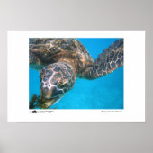 Hungry Turtle - Foto van de winnaar van de jaarsca Poster (Voorkant)