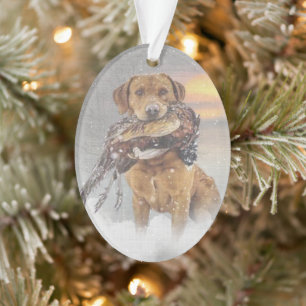 Huningfazant in poster voor tapijten in de winter ornament