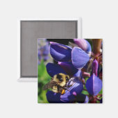 Hunny Bee Magneet (Voorkant / Achterkant)