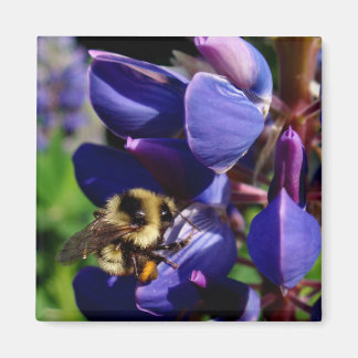 Hunny Bee Magneet