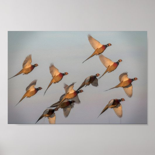 Hunt begint seizoen premiejager poster (Voorkant)