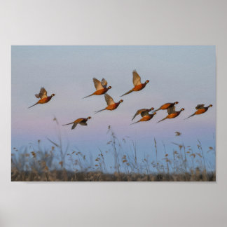 Hunt begint seizoen premiejager poster