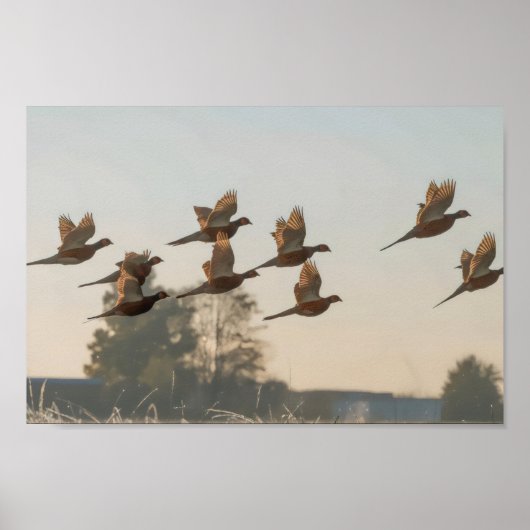 Hunt begint seizoen premiejager poster (Voorkant)