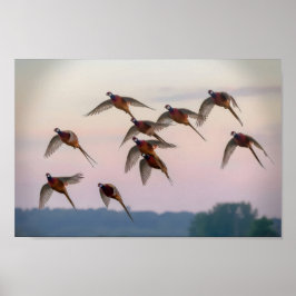 Hunt begint seizoen premiejager poster