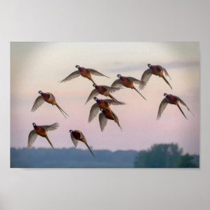 Hunt begint seizoen premiejager poster